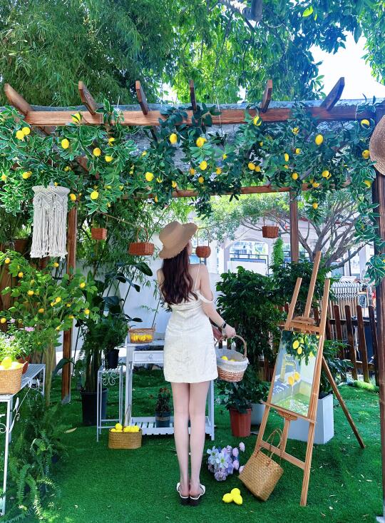 市区后花园💐花舍里