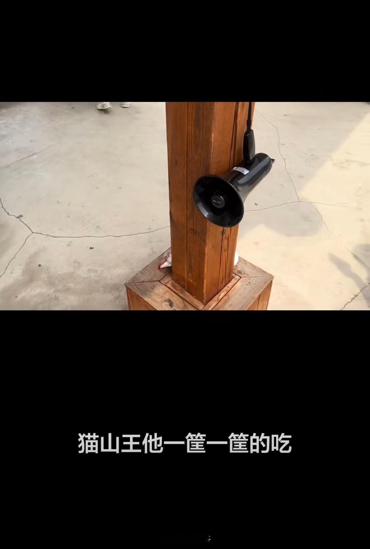 禁止向动物索要食物猫山王一筐一筐的吃?我也想去动物园上班了