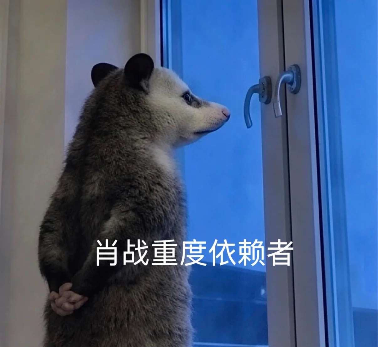 早早早！重度依赖肖战算长大吗