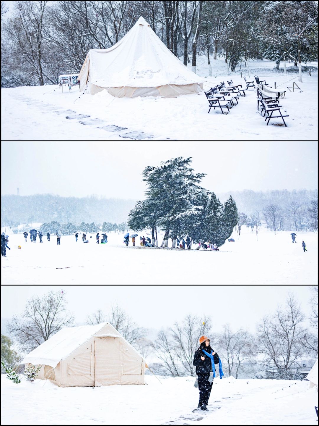 今日的南京，已美成了雪国童话‼️