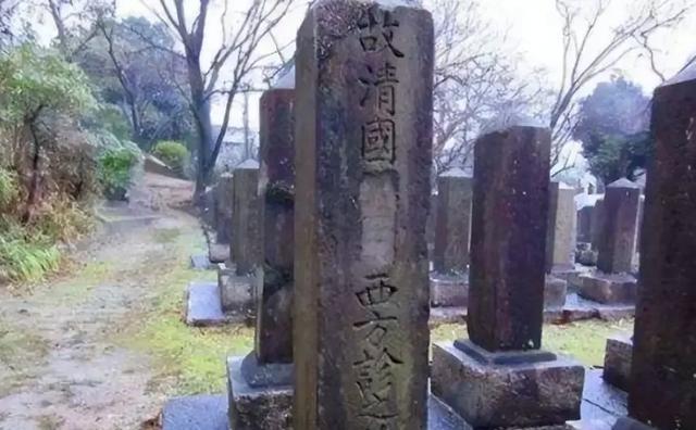 2003年，在日本留学的中国女学生杨海嘉，无意间路过日本“真田山陆军“的墓园时，