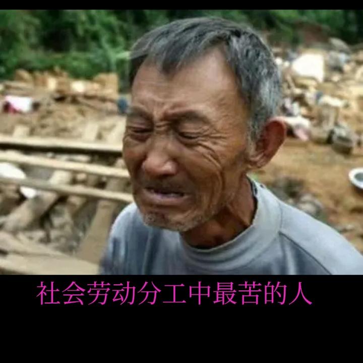 桃子、板栗、苹果今年一个价，玉米、小麦与一瓶矿泉水一个价，农民怎么生活下去？
出