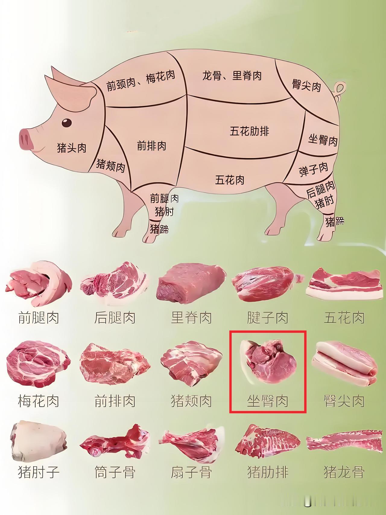 好切、瘦肉多、口感嫩滑。
老板每次强推的原来是它...知道真相的我眼泪掉下来！