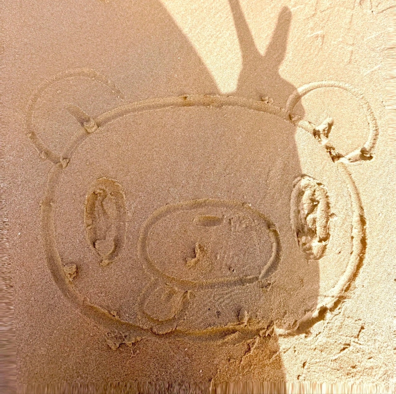  坚持了几天，感觉心态都稳了。 