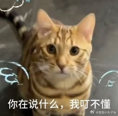 悟空安全直播险翻车看直播的时候心都悬起来了，好在主播关键时刻稳住了，这种临危不乱