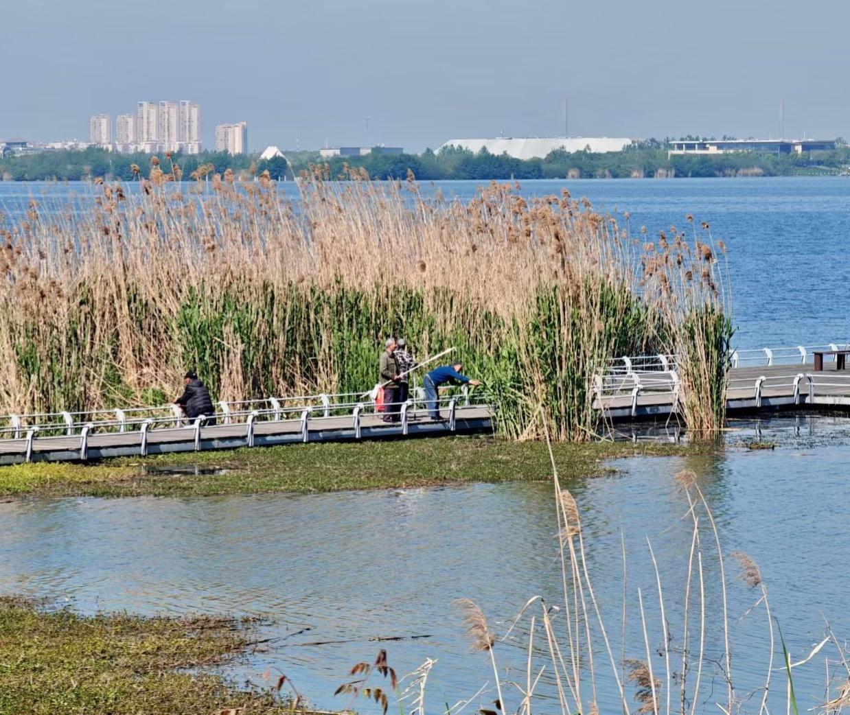 漫步湖畔，慢赏春日风光，心静安然。
不慌不忙，悠闲自在，人间温柔，皆是清欢。