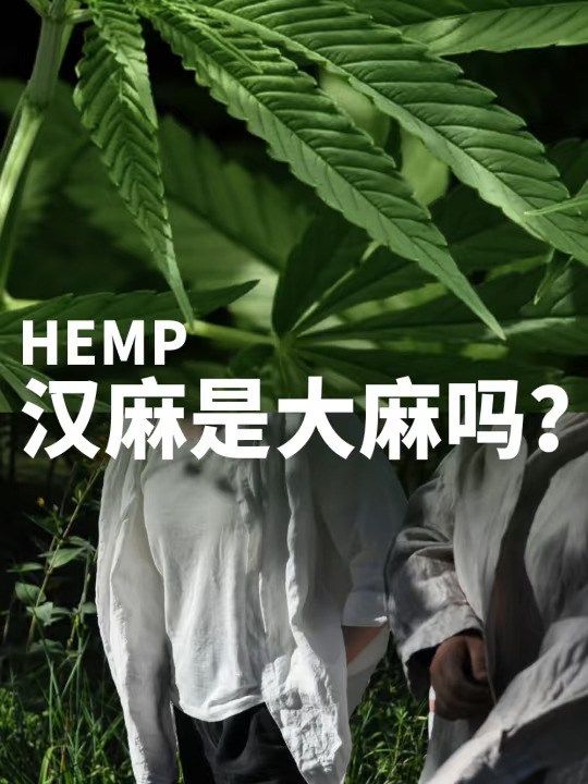 汉麻（全） ，你不知道的㊙密