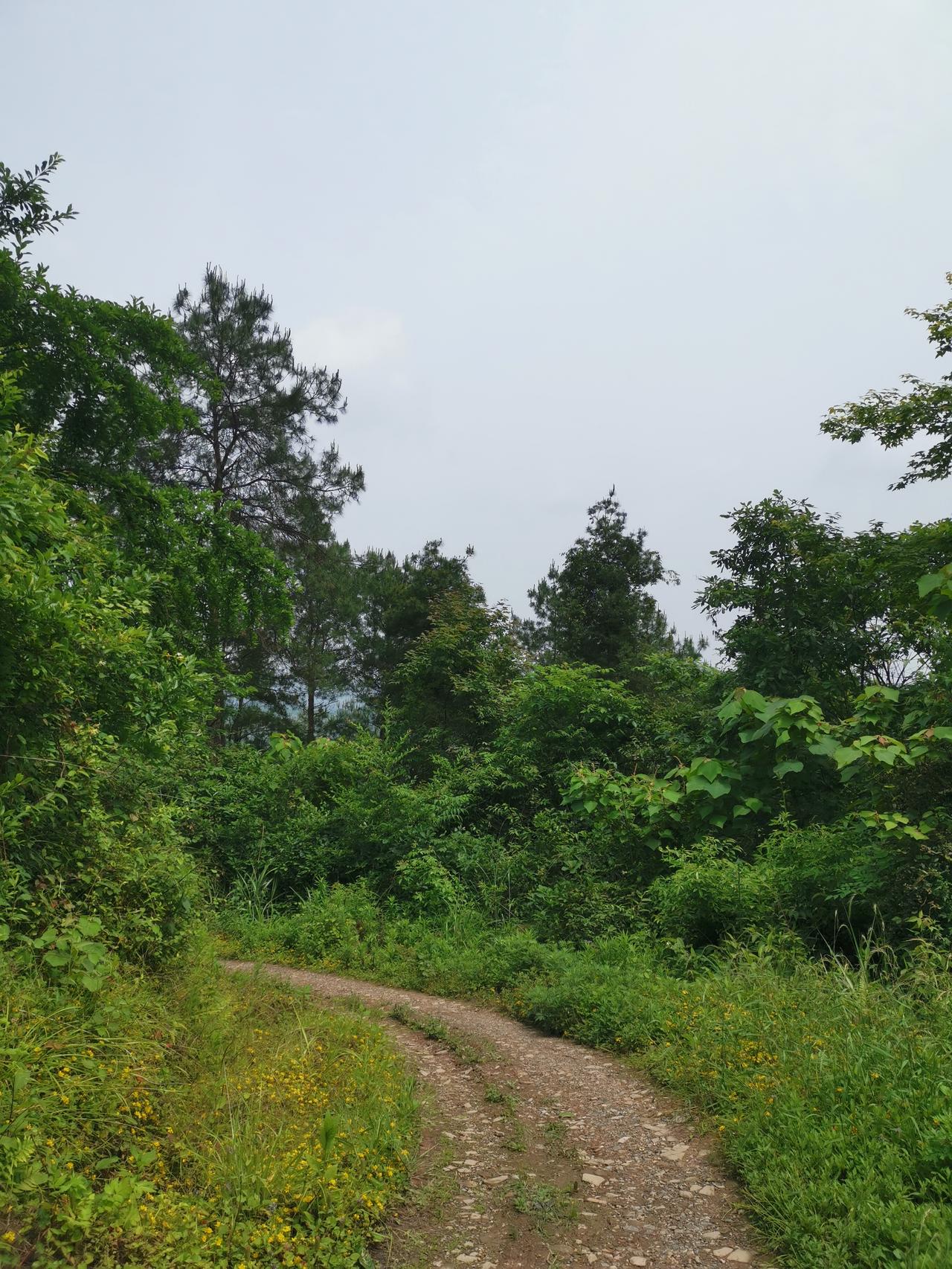 可以分享一张田园风光的照片吗乡村在心中，在脚下，在手机相册里，通过一双双过客般的