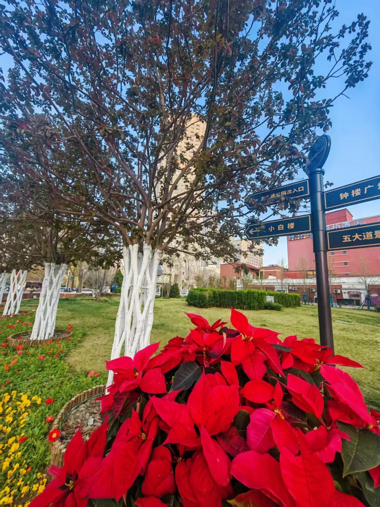 清明小长假来天津玩吧，4月3日开始为期十天的海棠节，保证让你不虚此行！