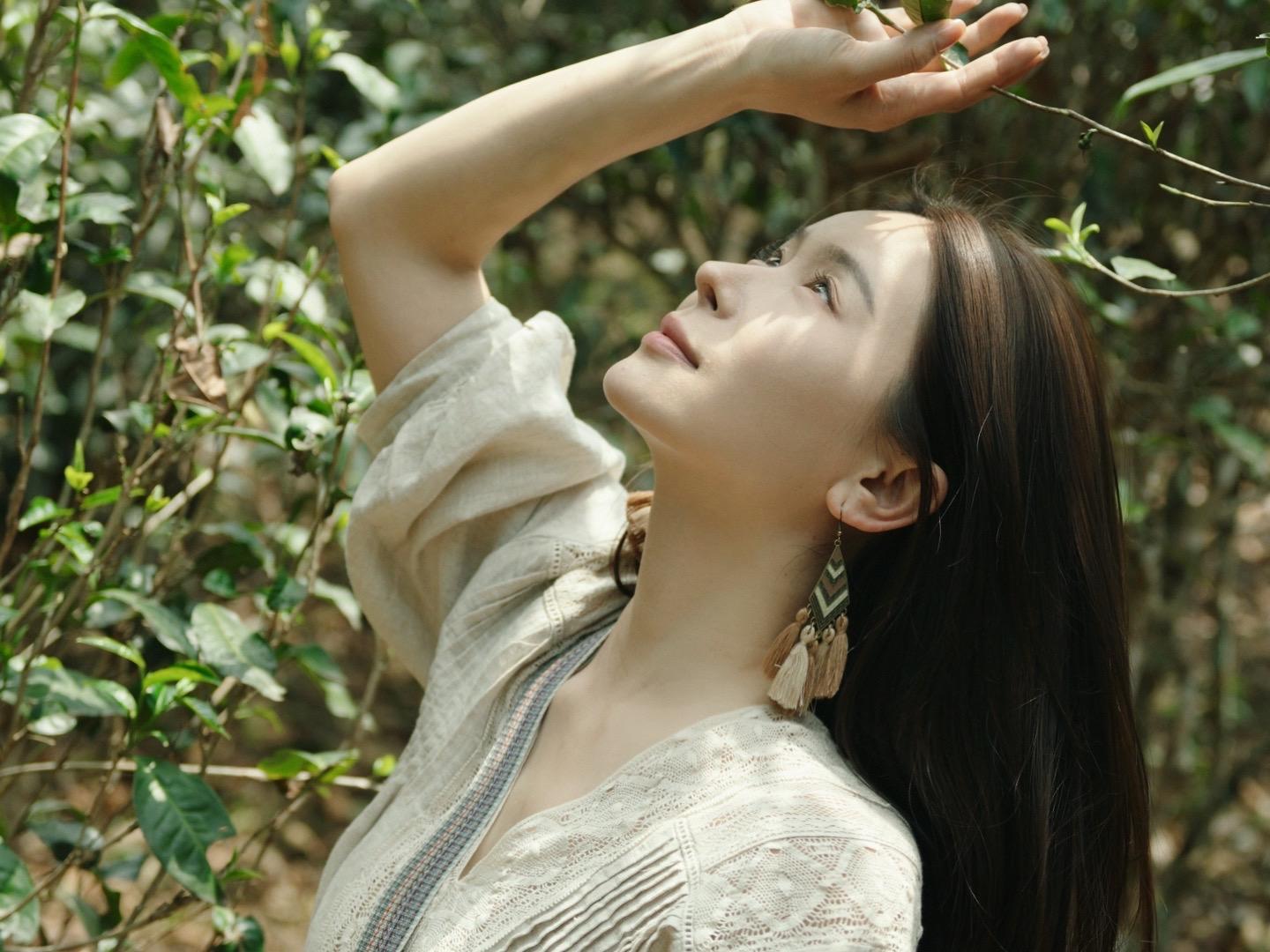 景迈山采茶记。