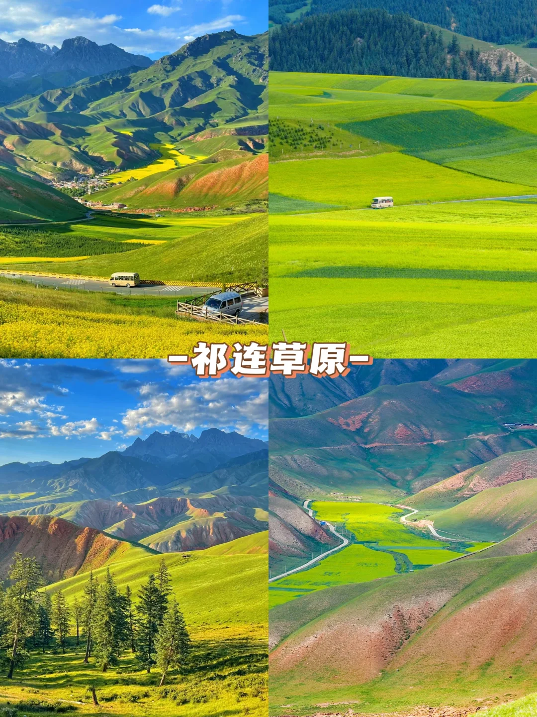 听劝，7-8月不做攻略就去青海的姐妹们