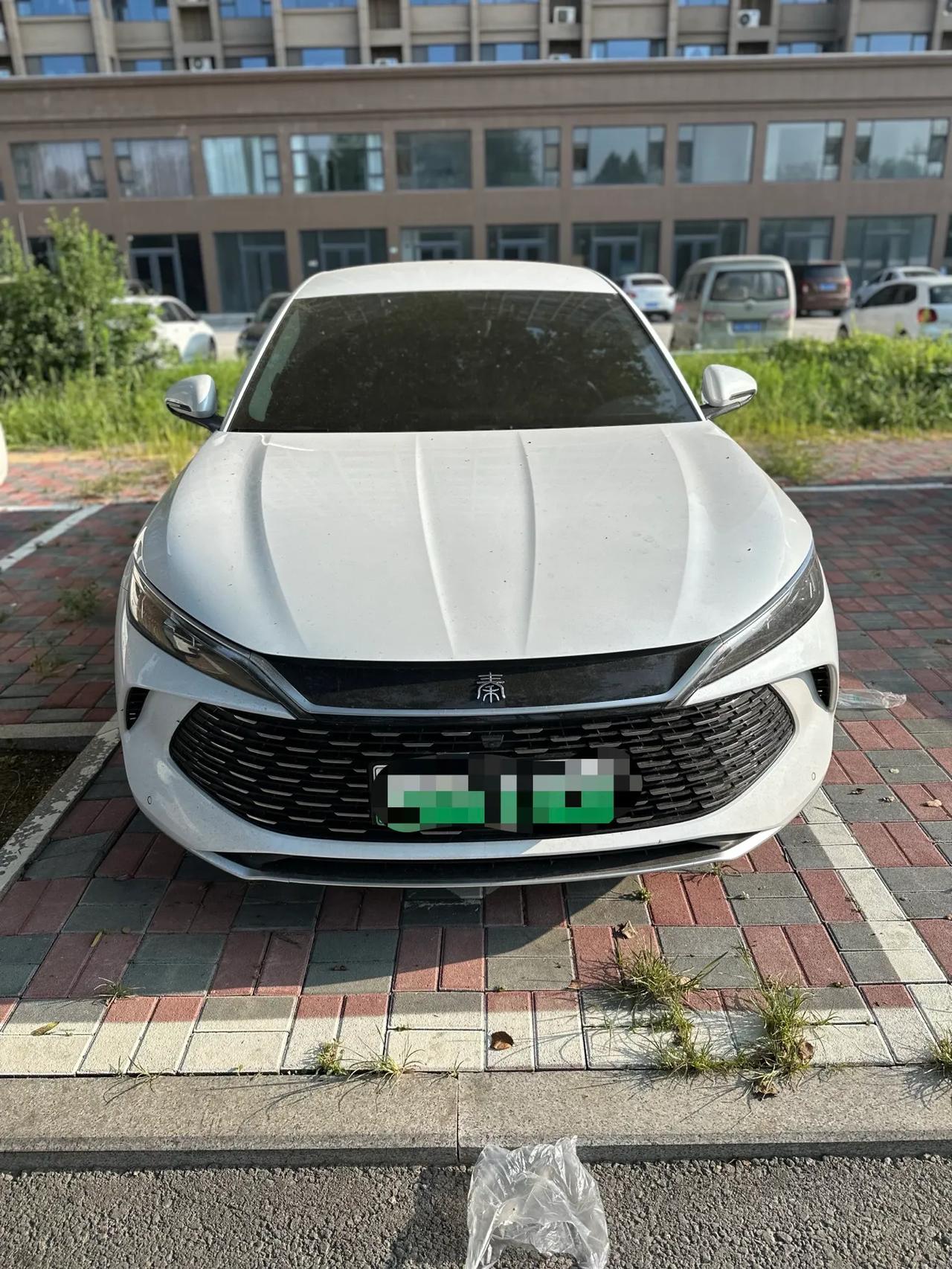 野生的比亚迪秦L，发布上市还没一个月，就见到3辆了，BYD，大厂就是牛