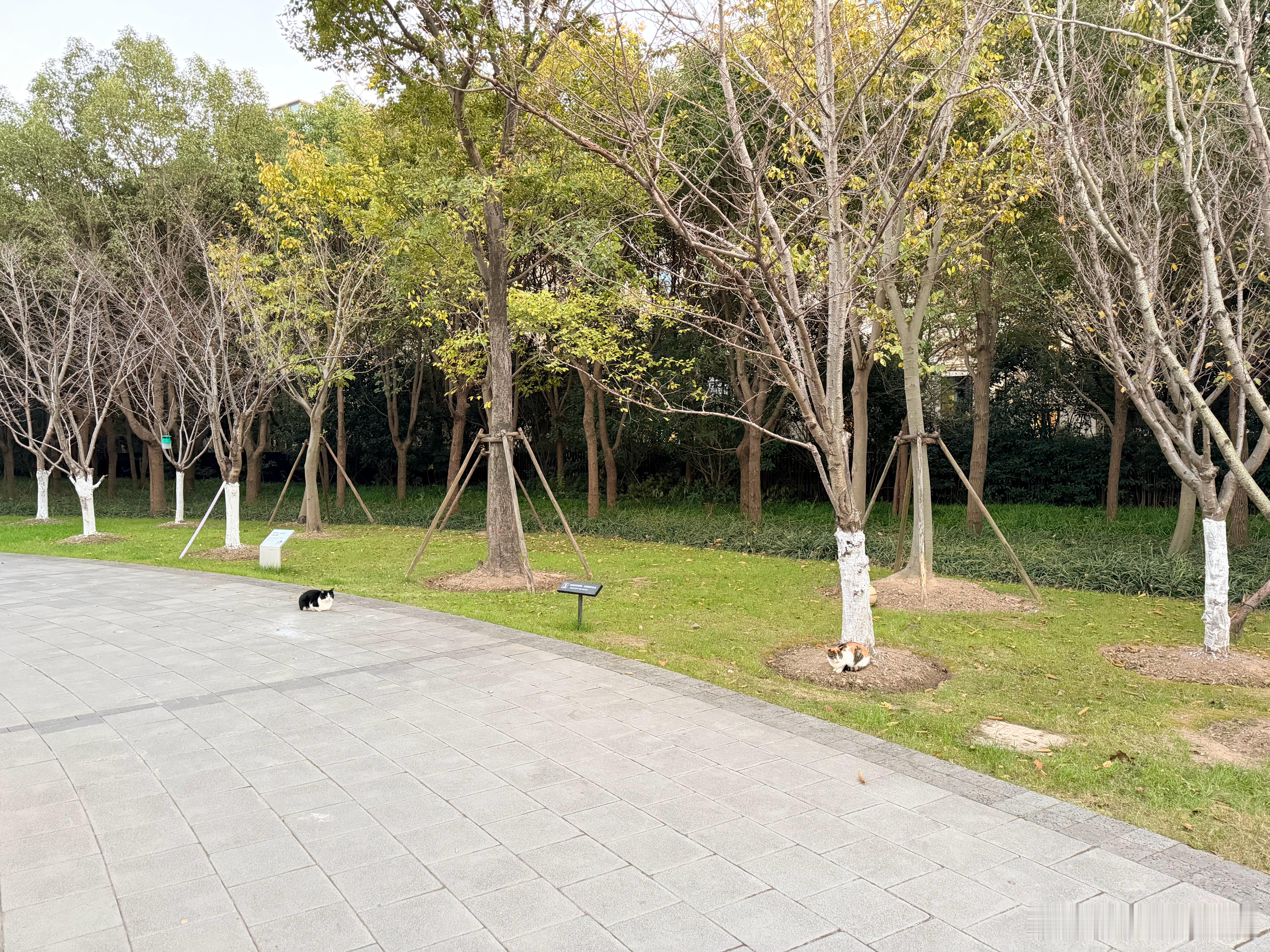 瞅啥呢？瞅你咋地？