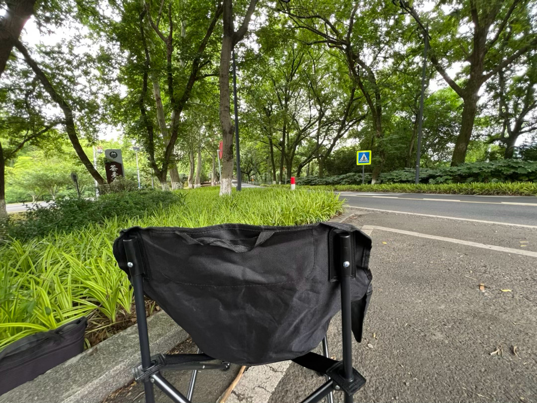 我在宜兴张灵慕线最美公路的树荫下躲雨，道路两旁的香樟树在空中交叉，我亲眼目睹松鼠