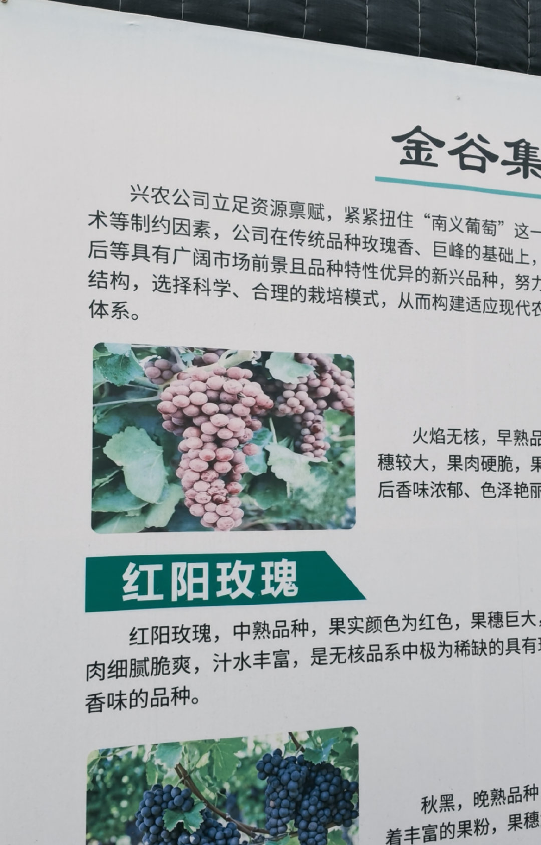 现象：当寻味津南挖掘好物冲上热搜，舆论焦点迅速转向“津南有什么”。但正如所言，“