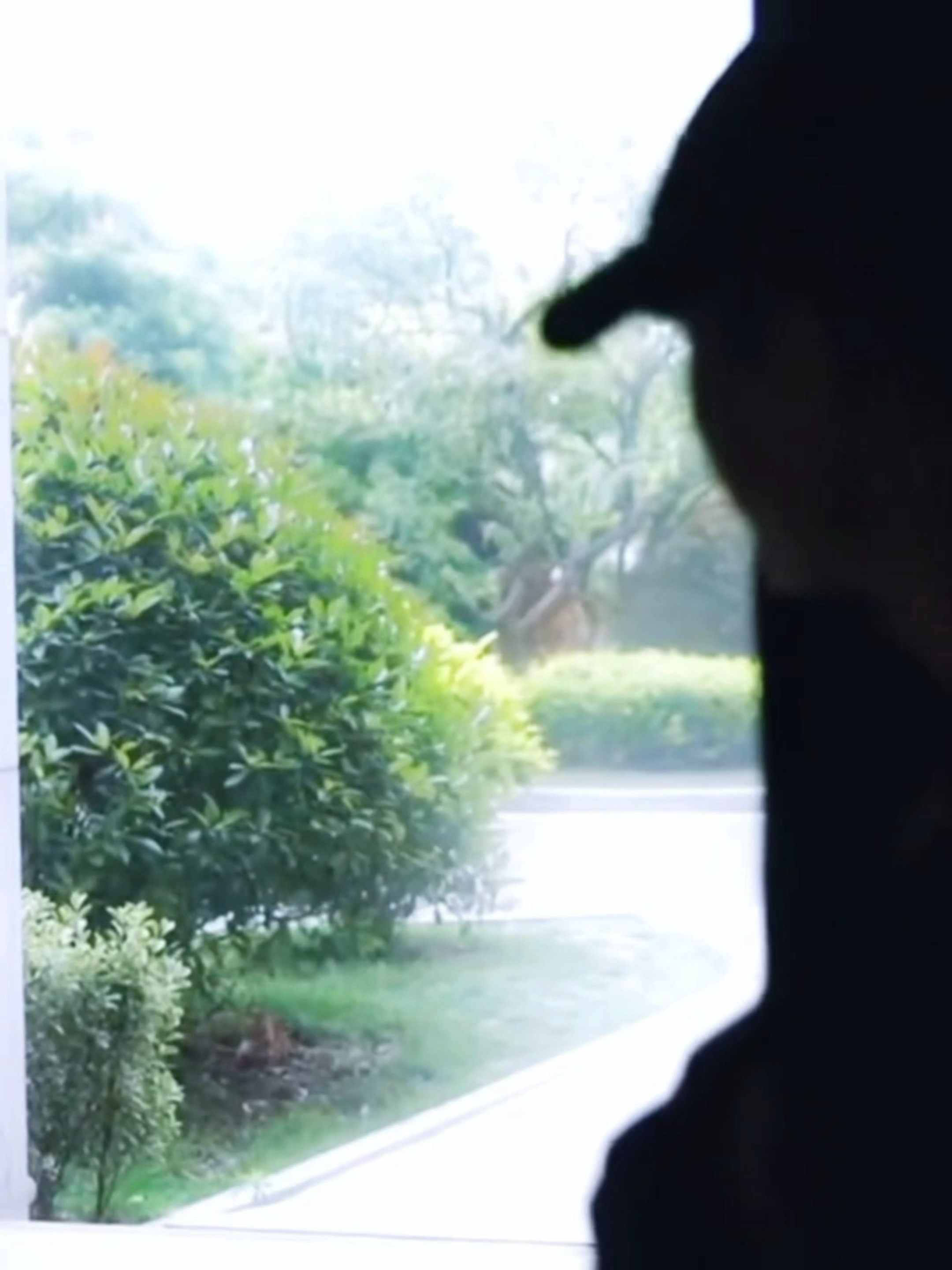 啊啊啊…被这个侧颜震撼到！氛围感绝了！ 