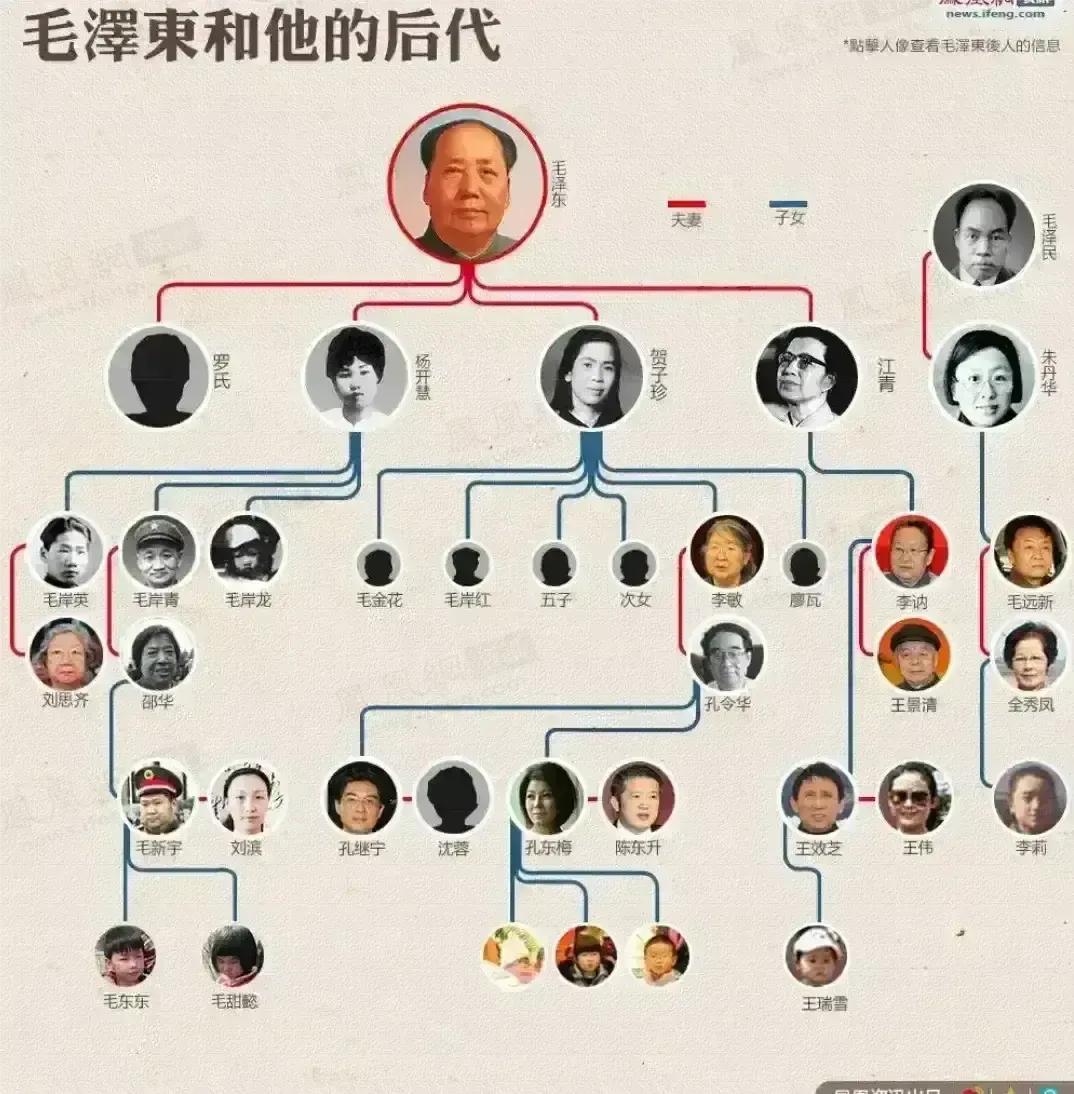 毛家后人一览图

从此图可以直观的看出，毛家后人日渐稀少，截止目前毛主席在世的直