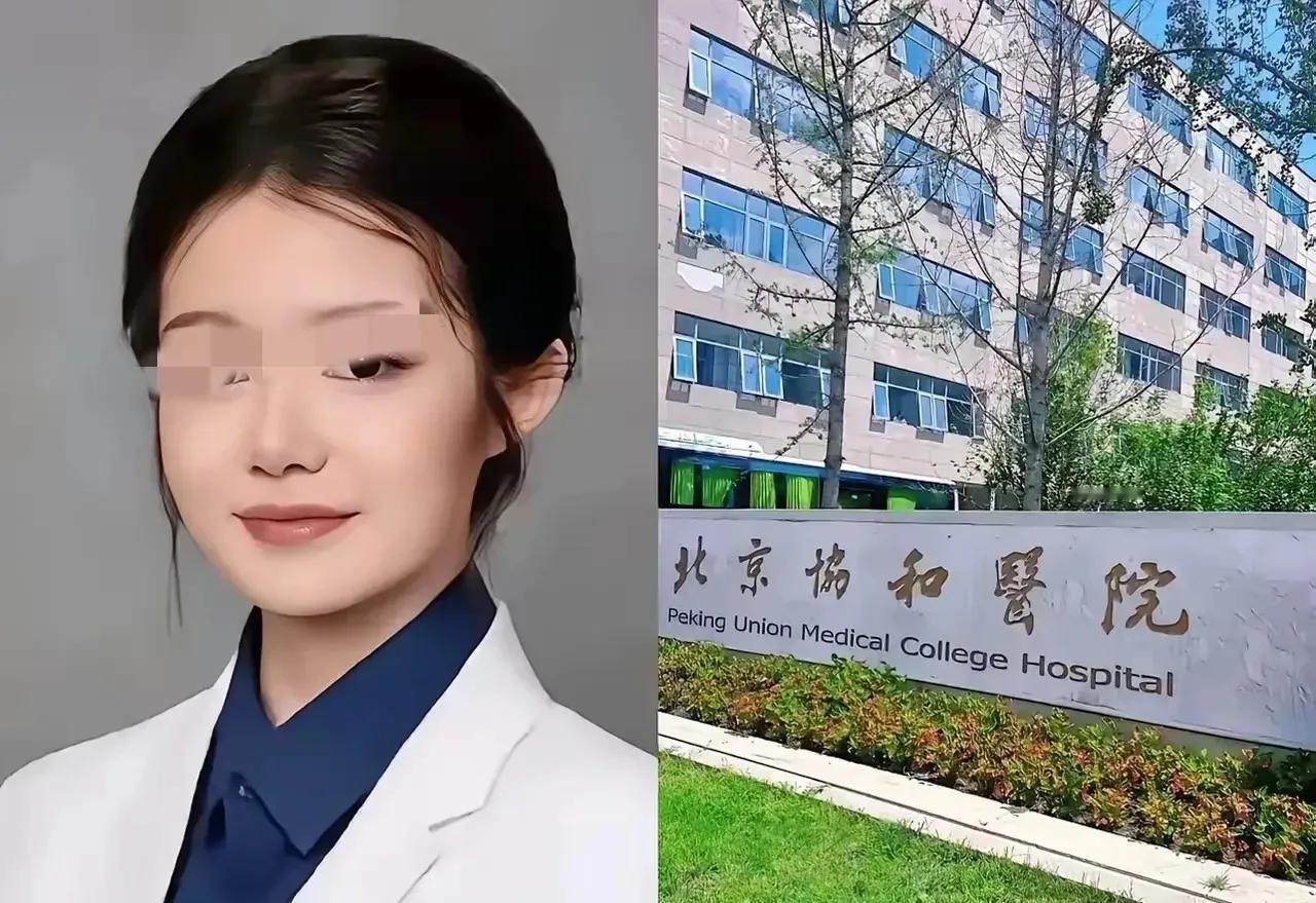 成绩单是假的
博士学位论文是抄袭剽窃的
工作期间发表的学术论文也是借光的。
“董