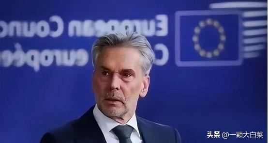 荷兰扬言“硬抢稀土”？荷兰官员表示，如果中国断供稀土，他们会采取“必要手段”，这