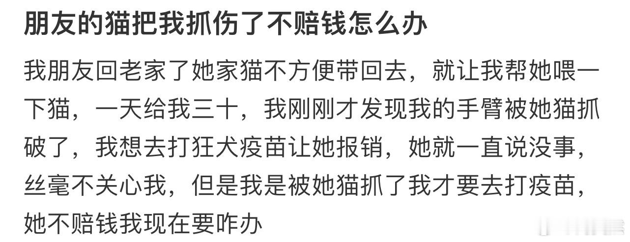 朋友的猫把我抓伤了不赔钱怎么办❓ 