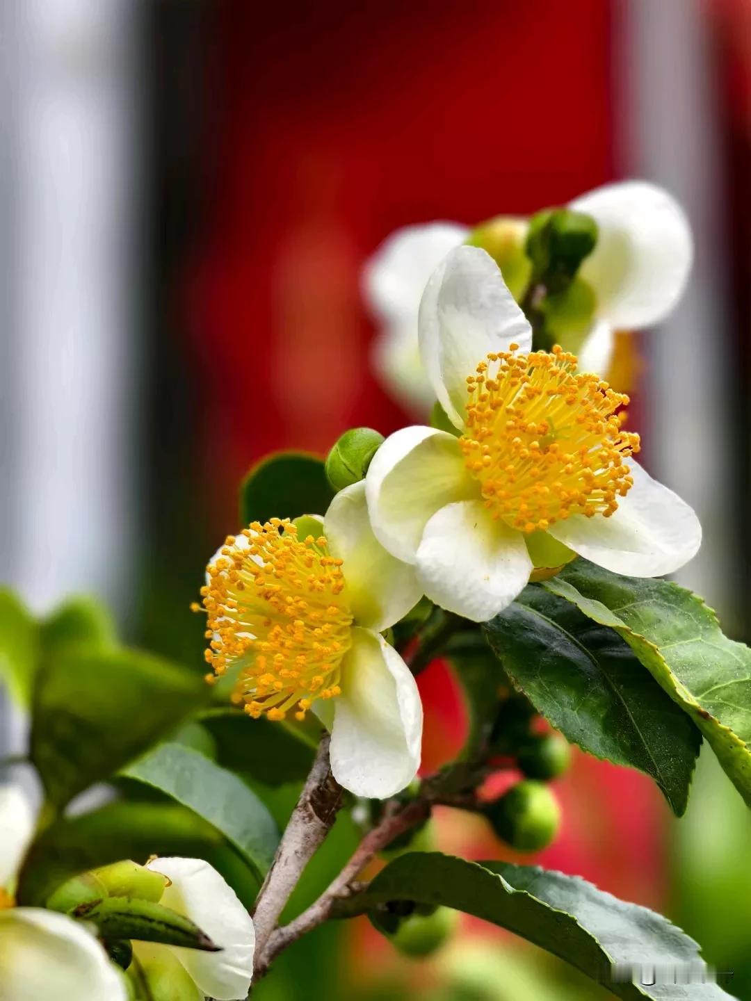 唯有历经世事冷暖，看遍人生百态，才能发现，人生其实就是一场醒悟。
在这个过程中，