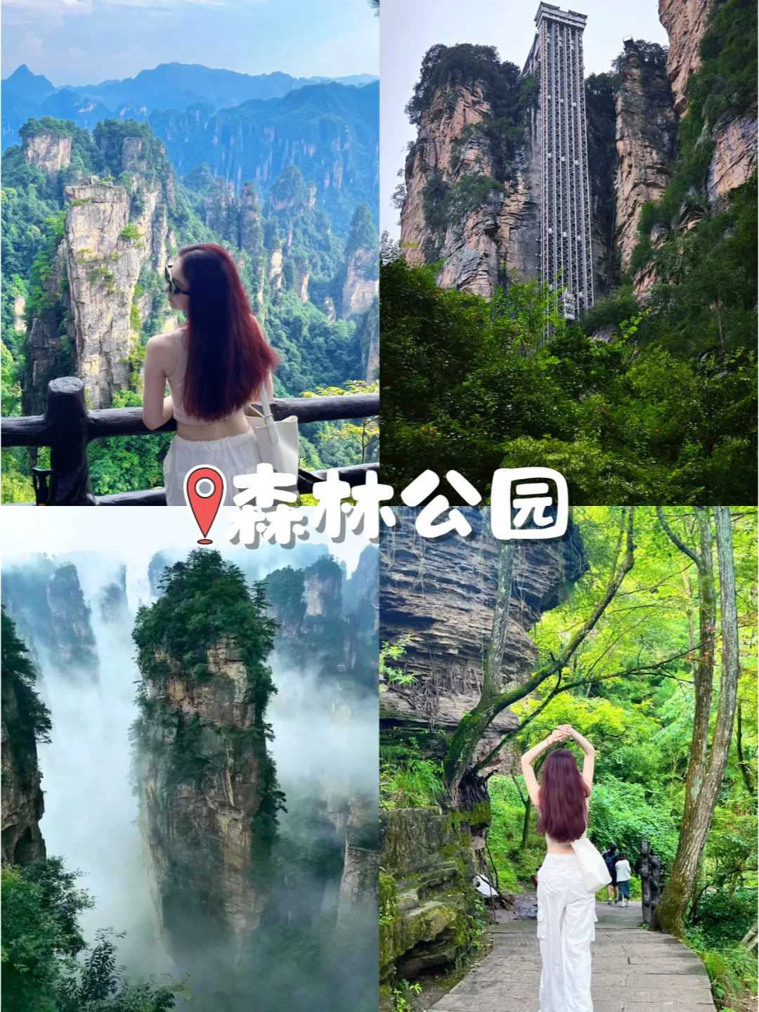 暑假长沙➕张家界5日💋超详细攻略😍