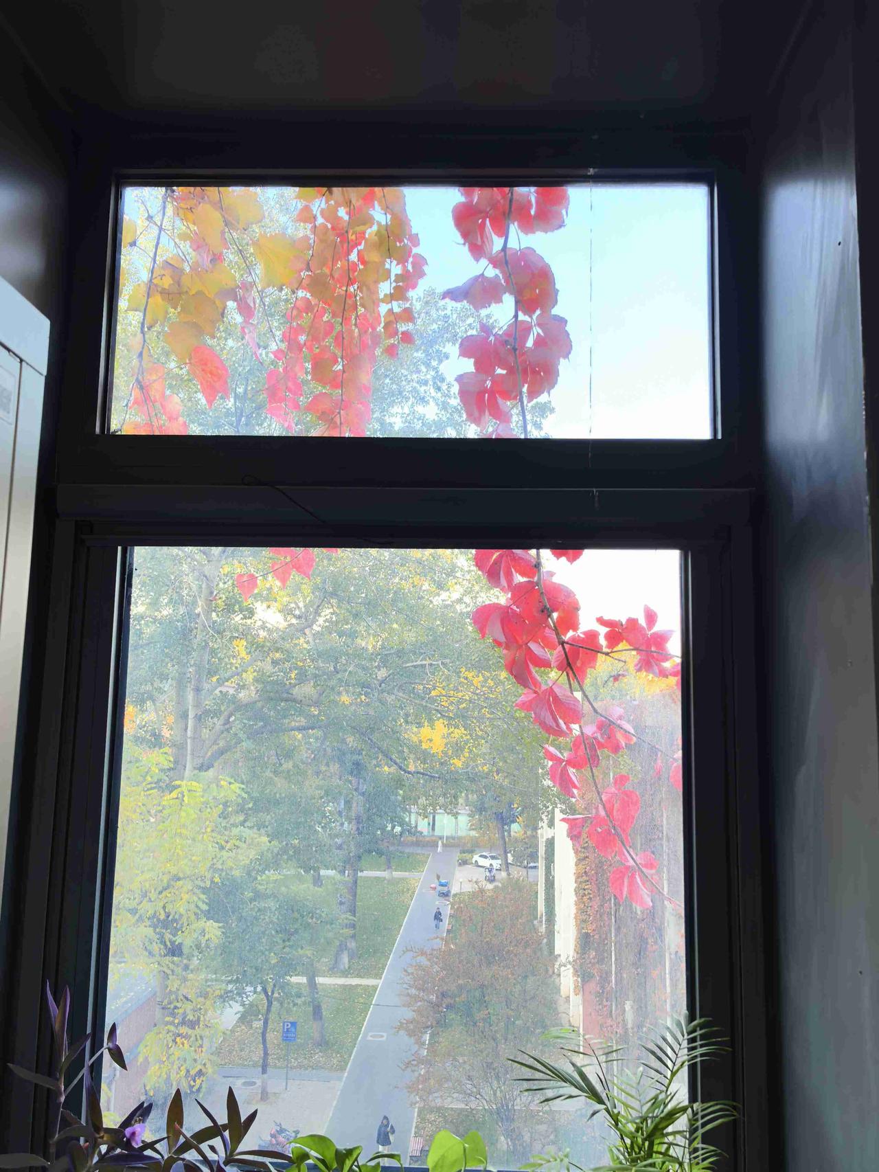 我的今日状态：😁轻松愉快
我这里的天气：☀️晴天