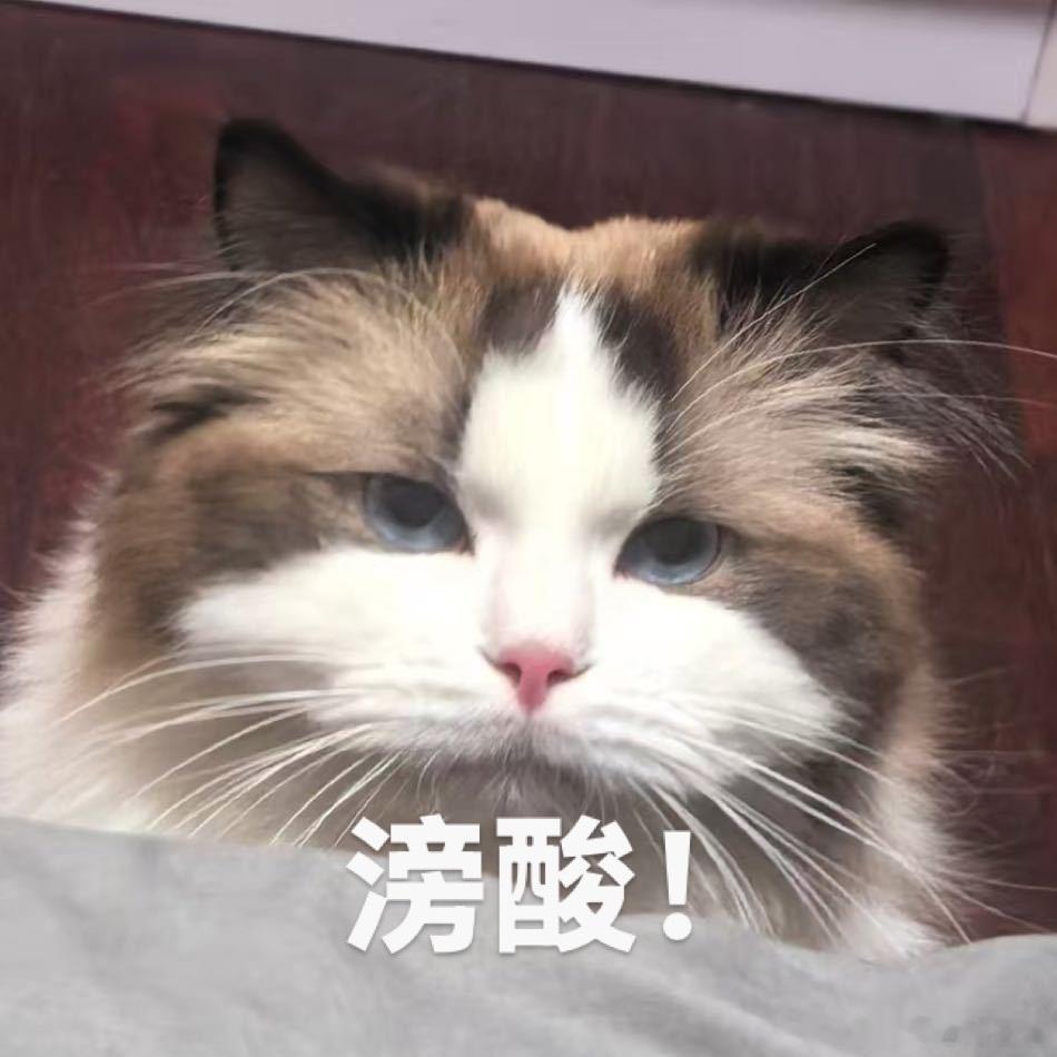 mini吼吼和大肥米米放在一起看真是越看越像啊虽然肥米吼脸盘子有这个小吼吼两个大