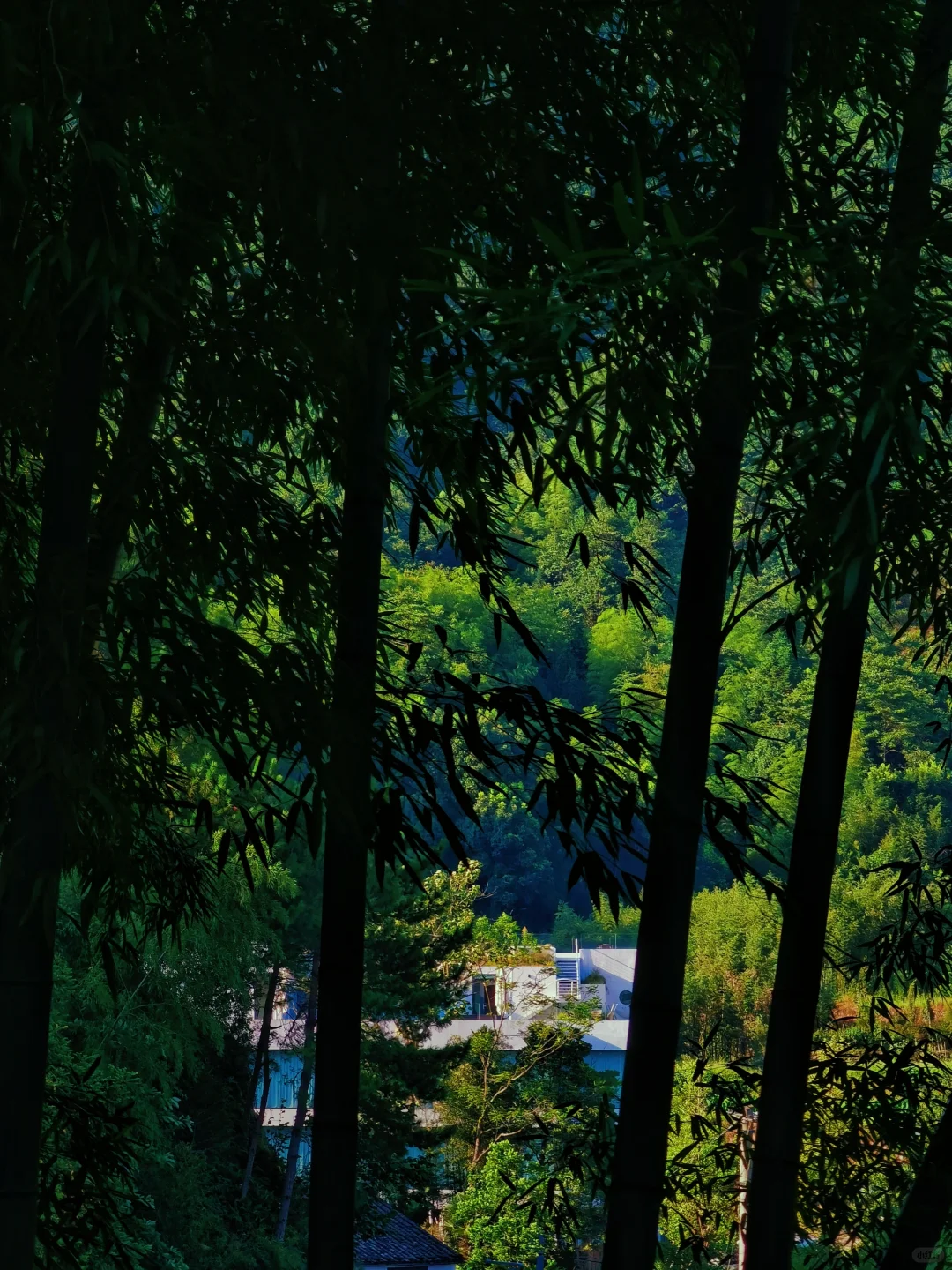 行者游记|不是日本奈良❗更是法式琉璃别院