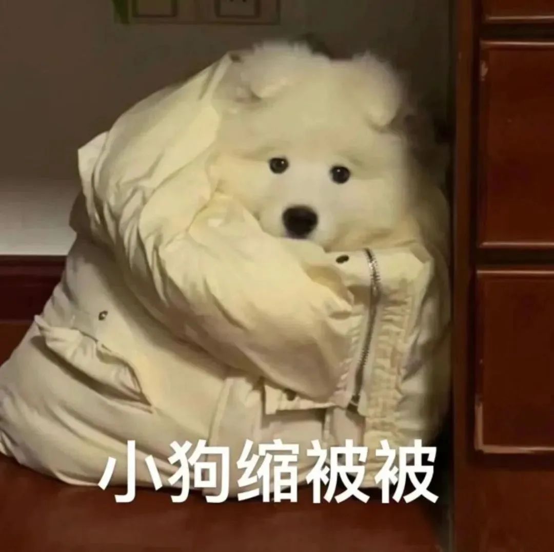 老年生物钟真的很可怕 昨天跟s 菜菜 jaja 小杨还有一大帮朋友喝到四五点睡 