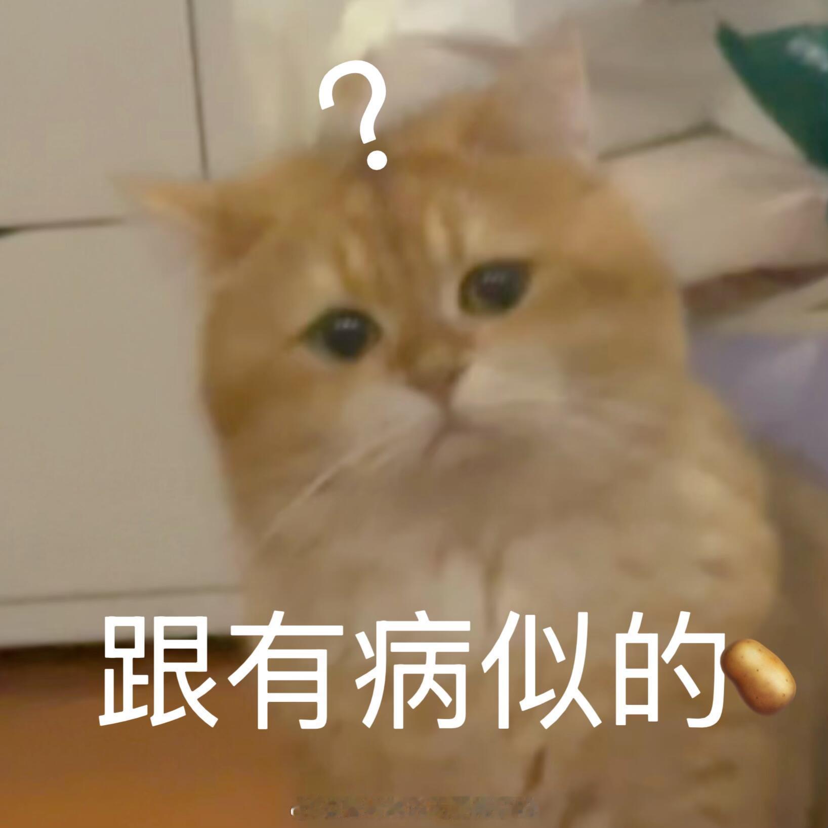 这两天连续8万下方做哆的时候，有些人跟我说：涨不动的，要破79000，要跌到哪里