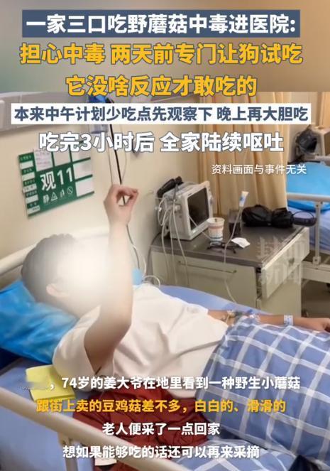 一家子都是人才！四川遂宁，一家三口吃野蘑菇担心中毒，特意提前让狗试吃，见它没啥反