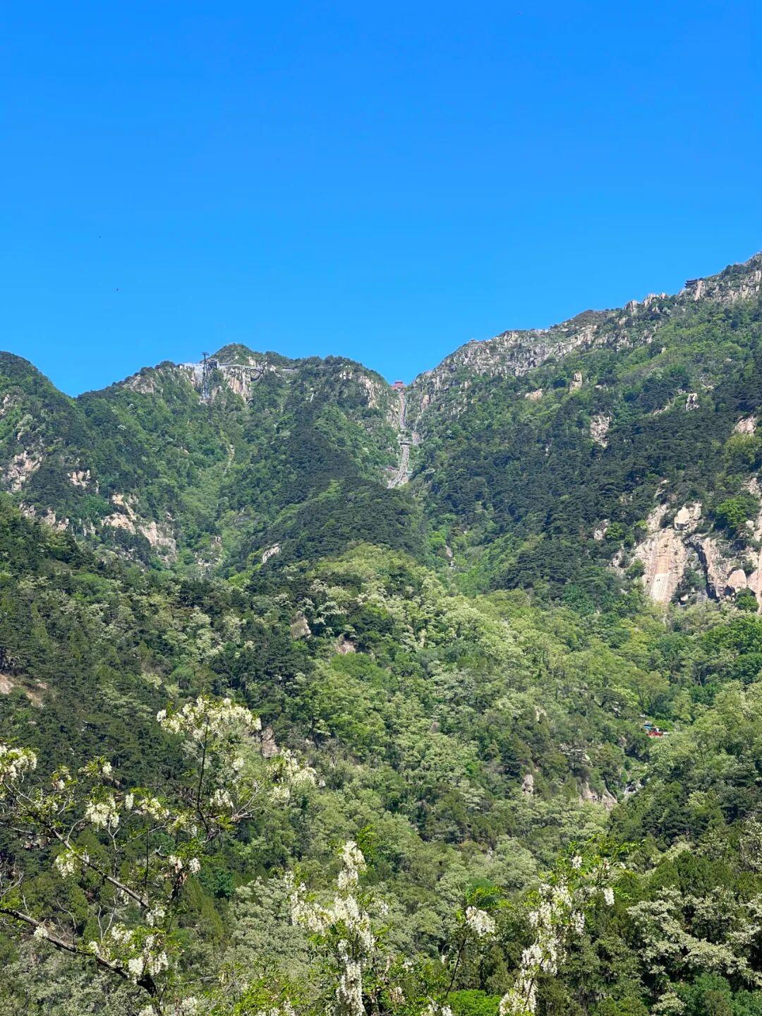 下联：满坡溢翠蕴华章。

（图片来自网络）