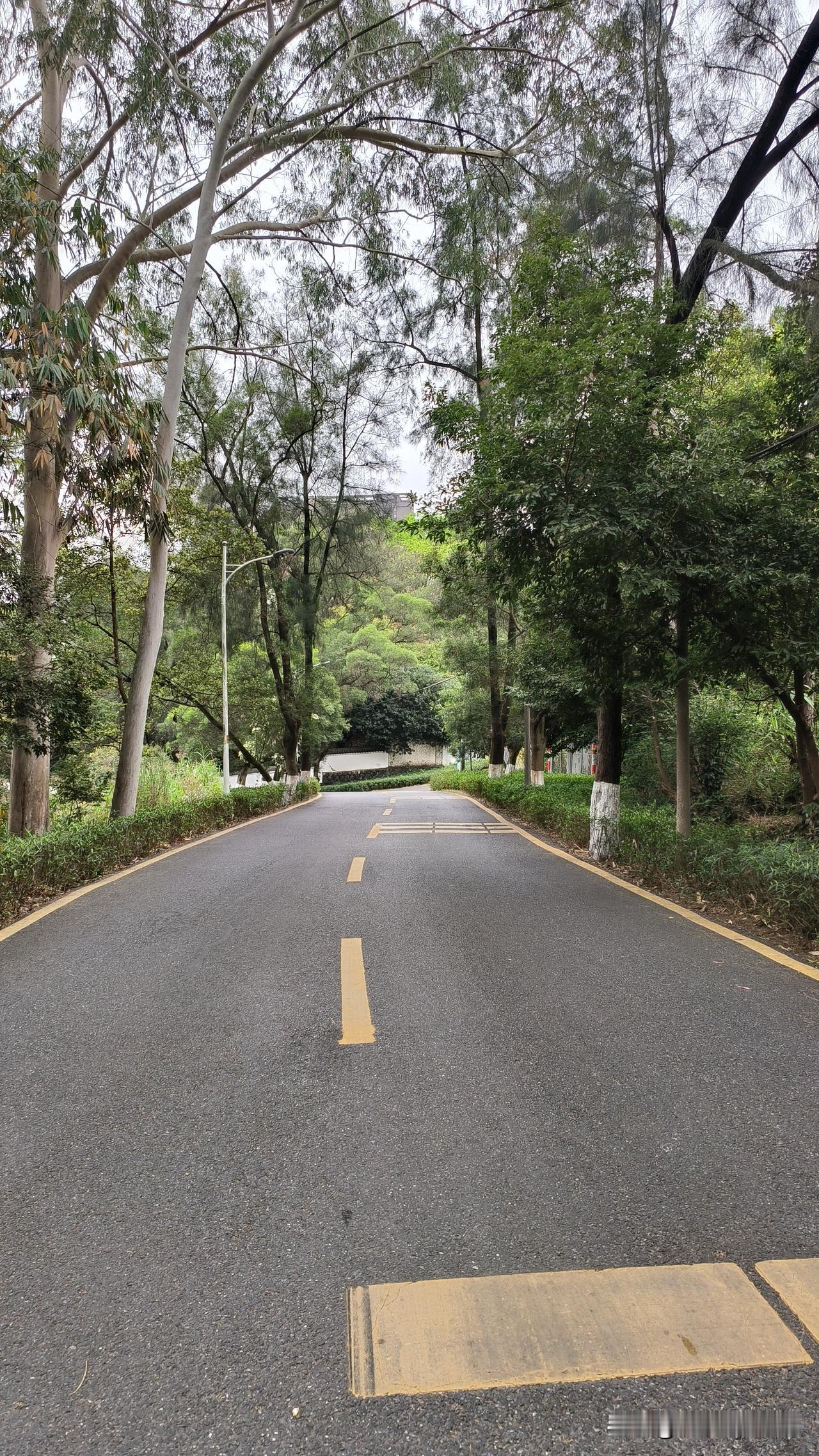 高考报志愿“冲，稳，保”，哪些情况可以大胆冲？
  第一，可大胆冲的情况，分数与