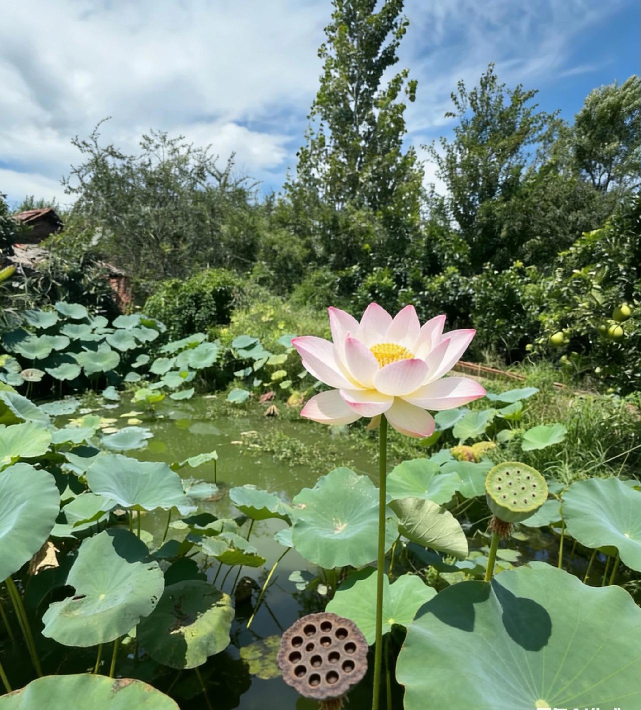 血泪教训：不要跟任何人，包括你的父母，子女，枕边人，分享这三件事
 
人生在世，