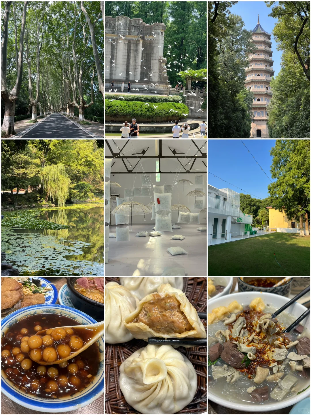 南京中山陵city walk，悠闲不赶路文艺路线！