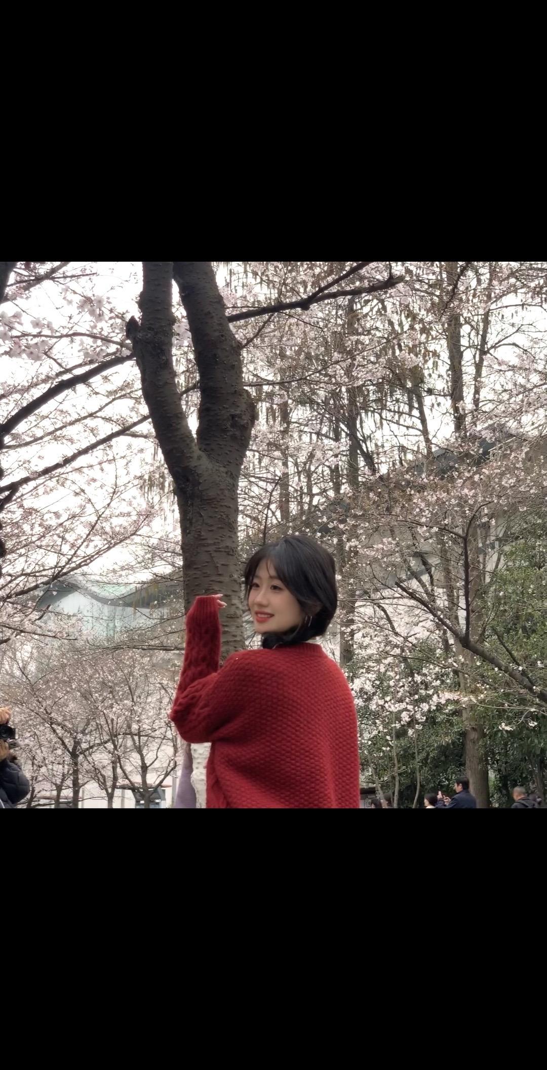 樱花树下谁都美。