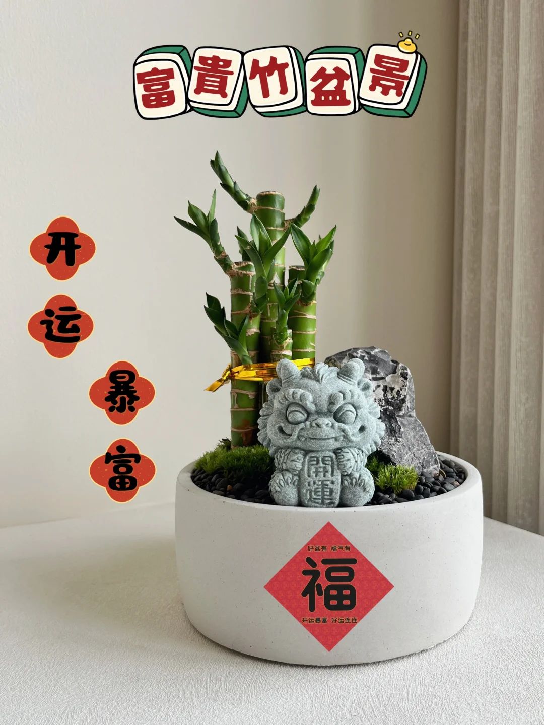 🎍🧧好盆有 · 富贵竹开运Bao富盆景 🧧🎍
