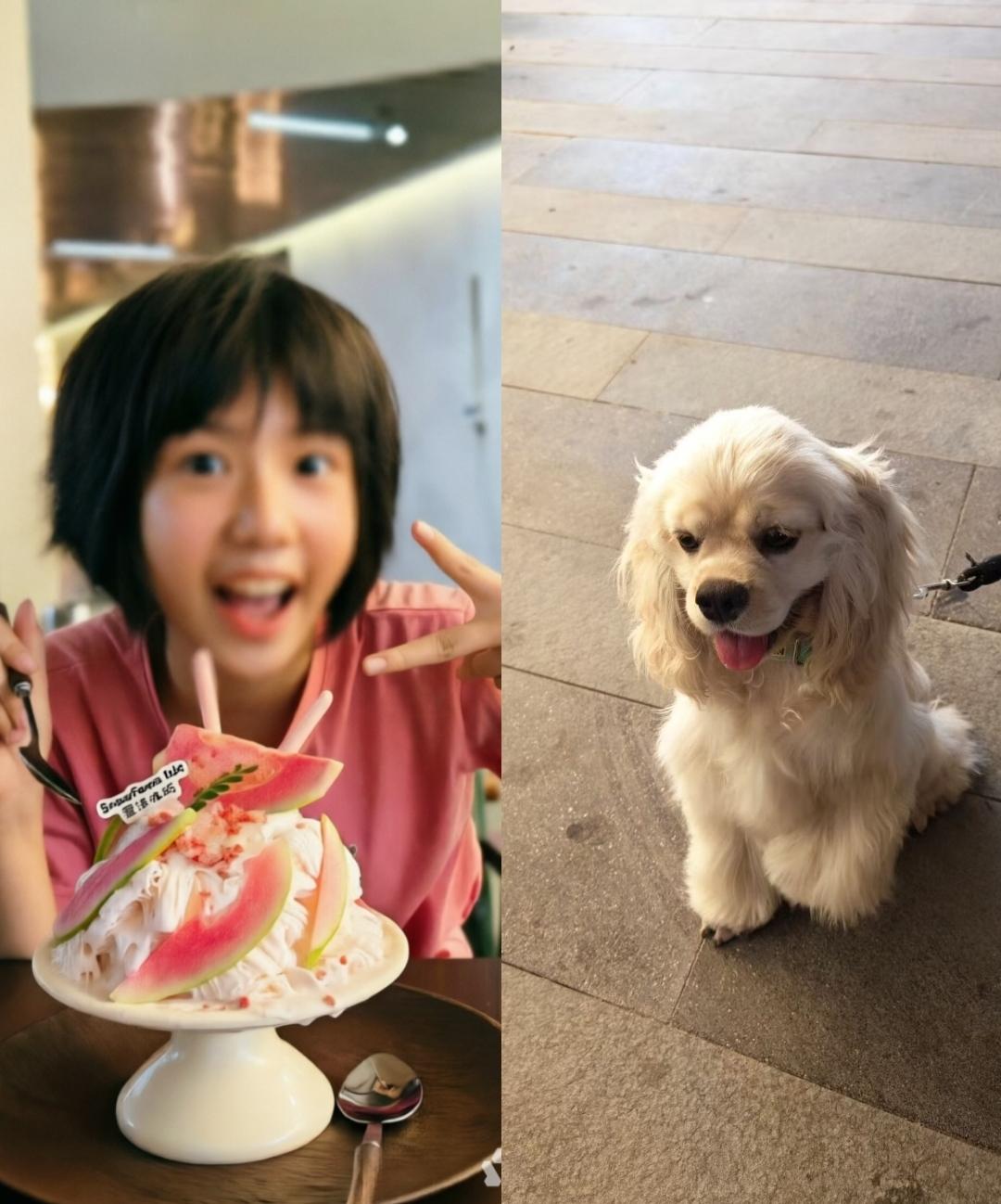 图片一是西双版纳大侄女小双的爱女，云南小女孩小雨霖，景洪市东北街名人。
这么说吧