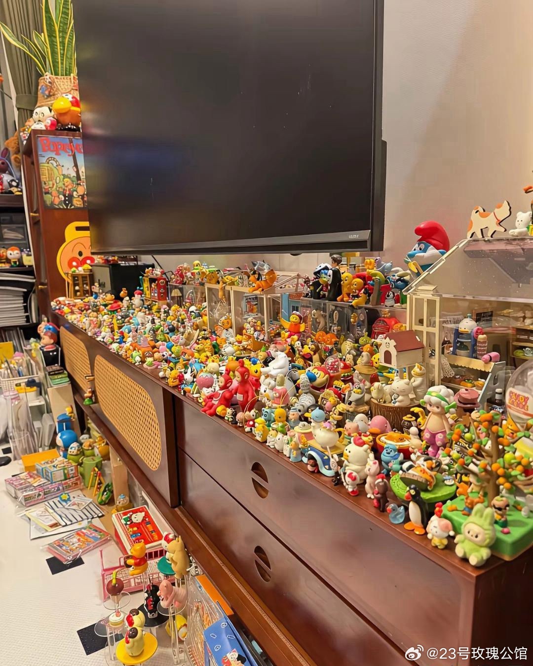 这主人家炫的，我是哑口无言 