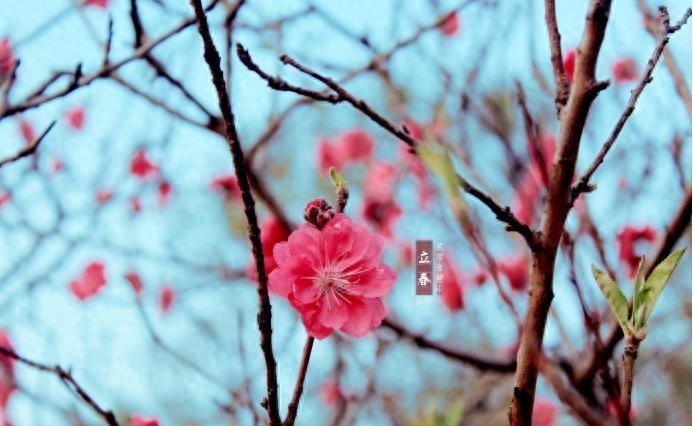 立春已经过去了，天气依然寒冷，春天的气息究竟藏在哪里？一起看看乾隆笔下独特的春意