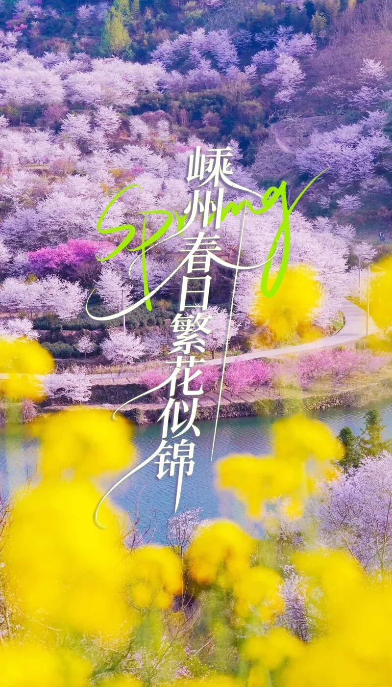 新年爱好打卡新年去老家看看，那春日的美景正在招手，让我们有空去看看这美丽的春光吧