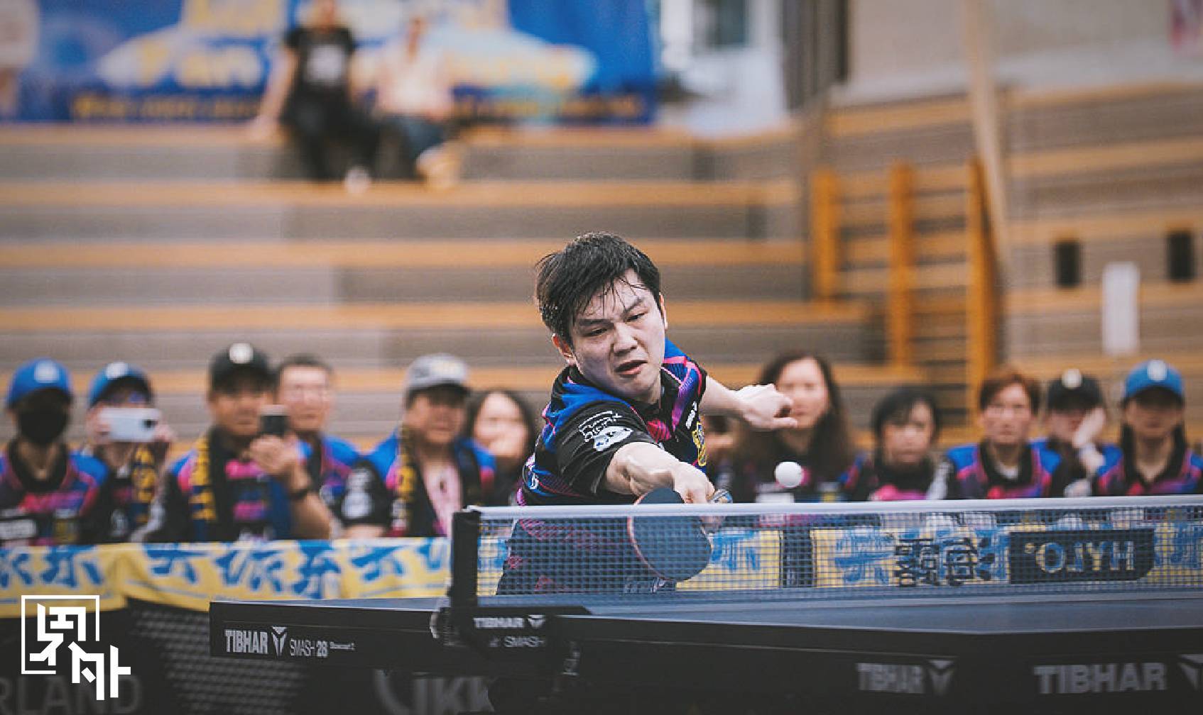 樊振东英文告别主场球迷樊振东主场告别战独得两分 “我们永远都是朋友和家人！”在萨