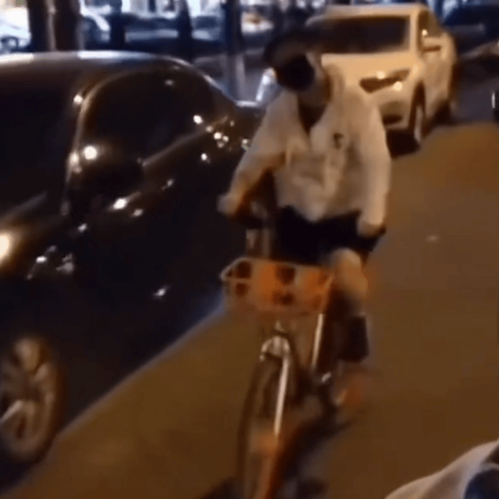 陪一个女孩从单车到她的副驾有钱没钱,回家过年