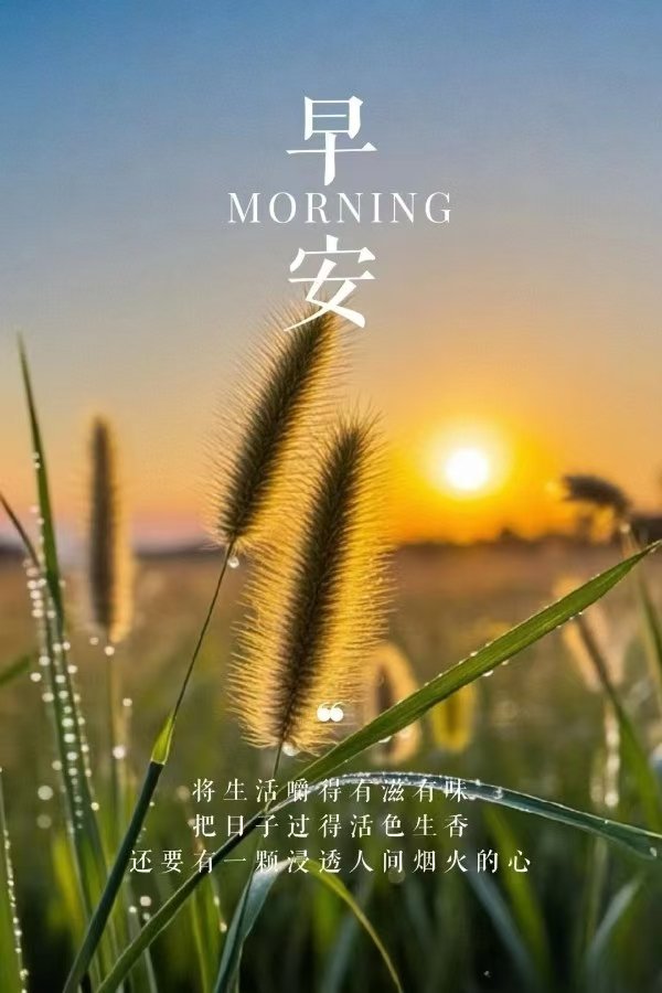 在自己坚持的道路上带着渴望与期许，遇见更好的自己 ​​​