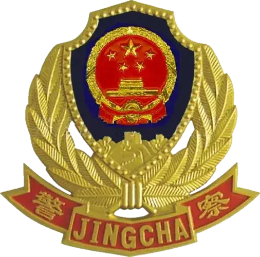 #小孩哥教科书式报警救自己##男孩被困在找妈妈和找警察中选择了后者#这个小男孩有