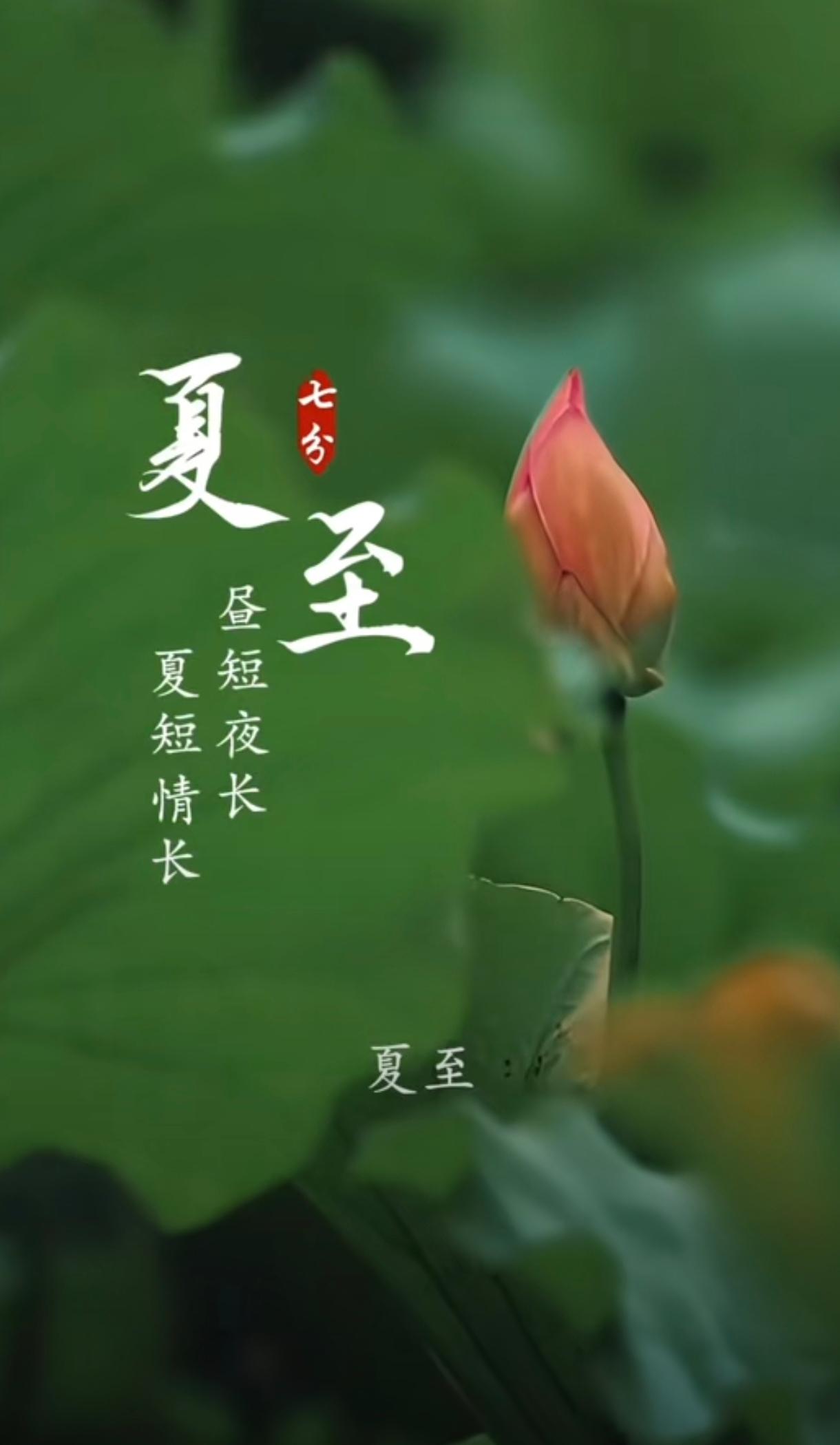 6.21夏至早安｜昼极长，夏初盛，时政积累不止朝夕☀️
今日夏至，北半球白昼抵达