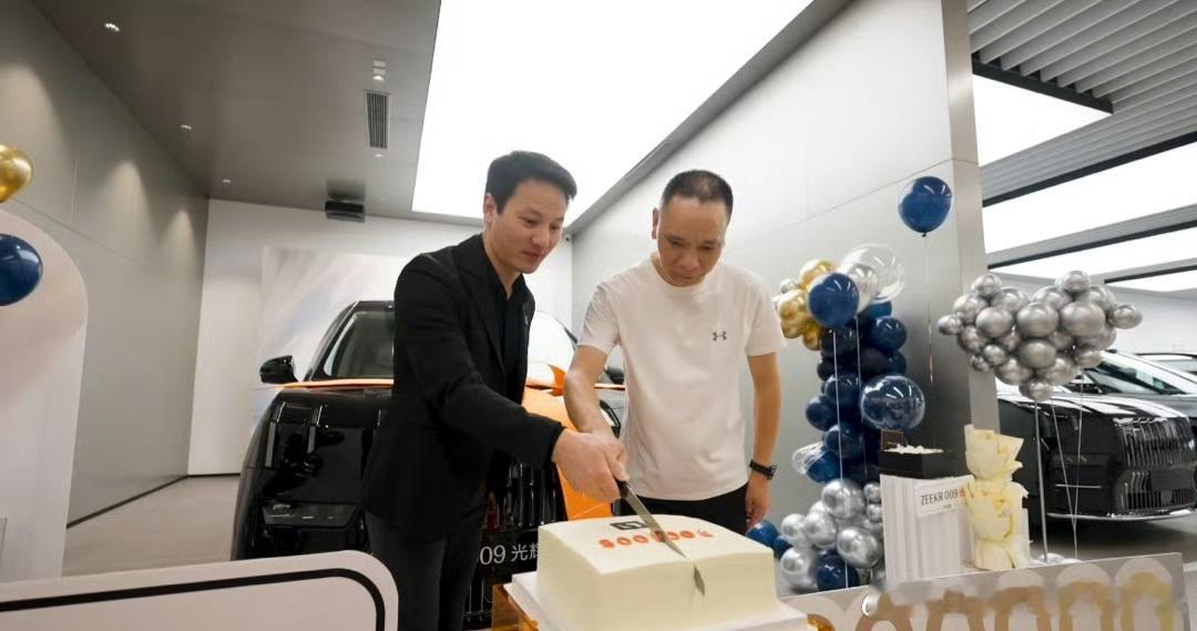#极氪交付突破30万台#极氪这30万都是什么车啊，两款20万级，一款40-80万