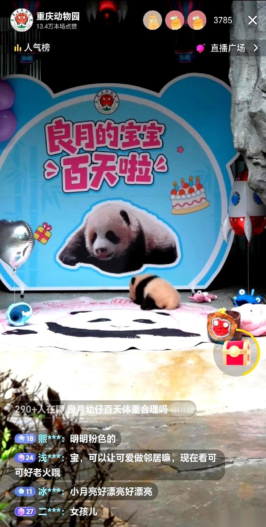 我天，居然是个妹妹！
重庆动物园官宣了，良月崽崽，是！个！女！熊！
当时我脑子里