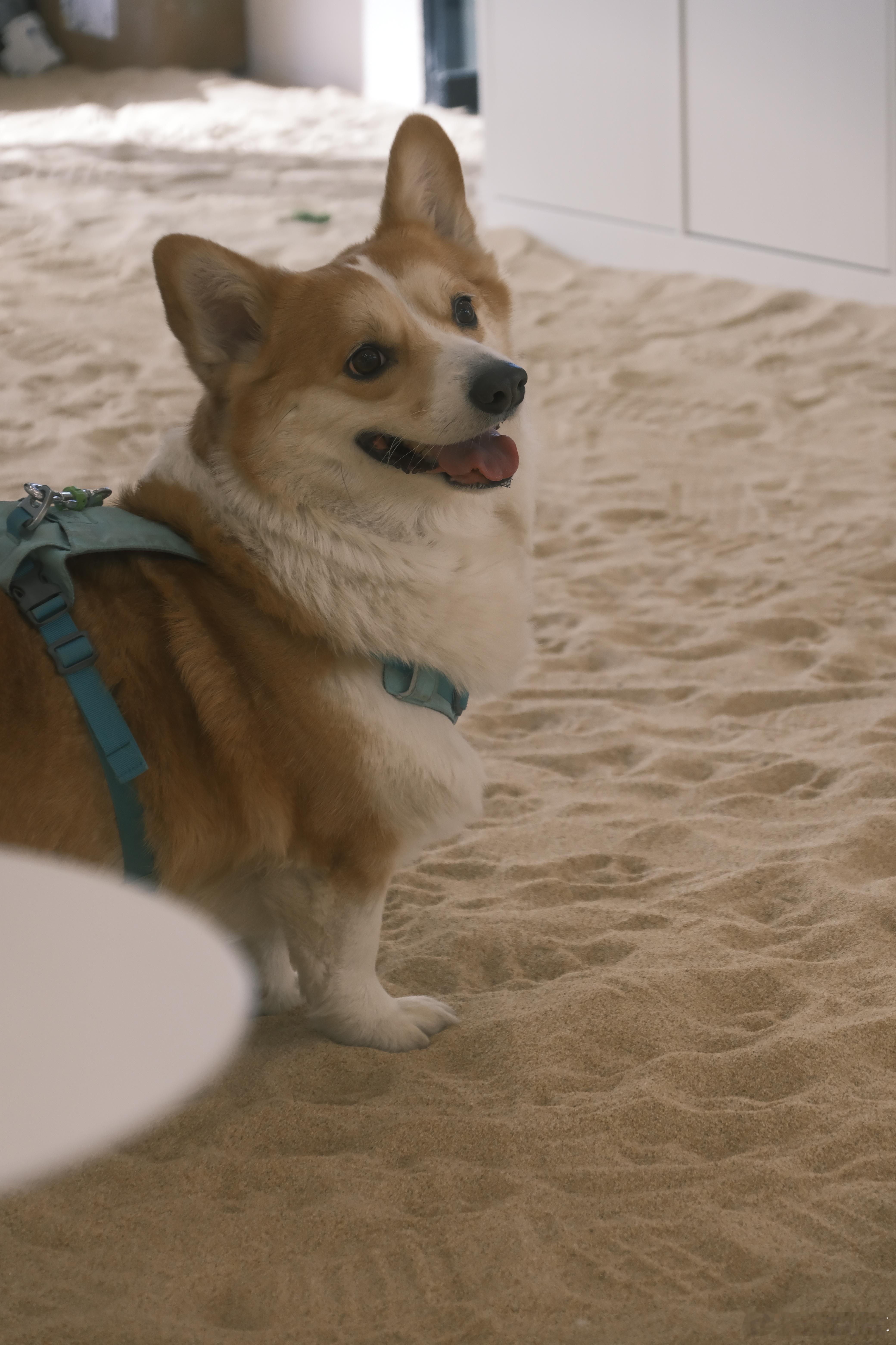 多家AI大厂开始发红包多家大厂开启红包大战今年春节大厂红包大战也太卷了！腾讯、字